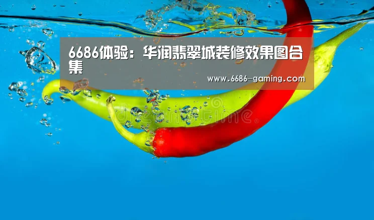 6686首页